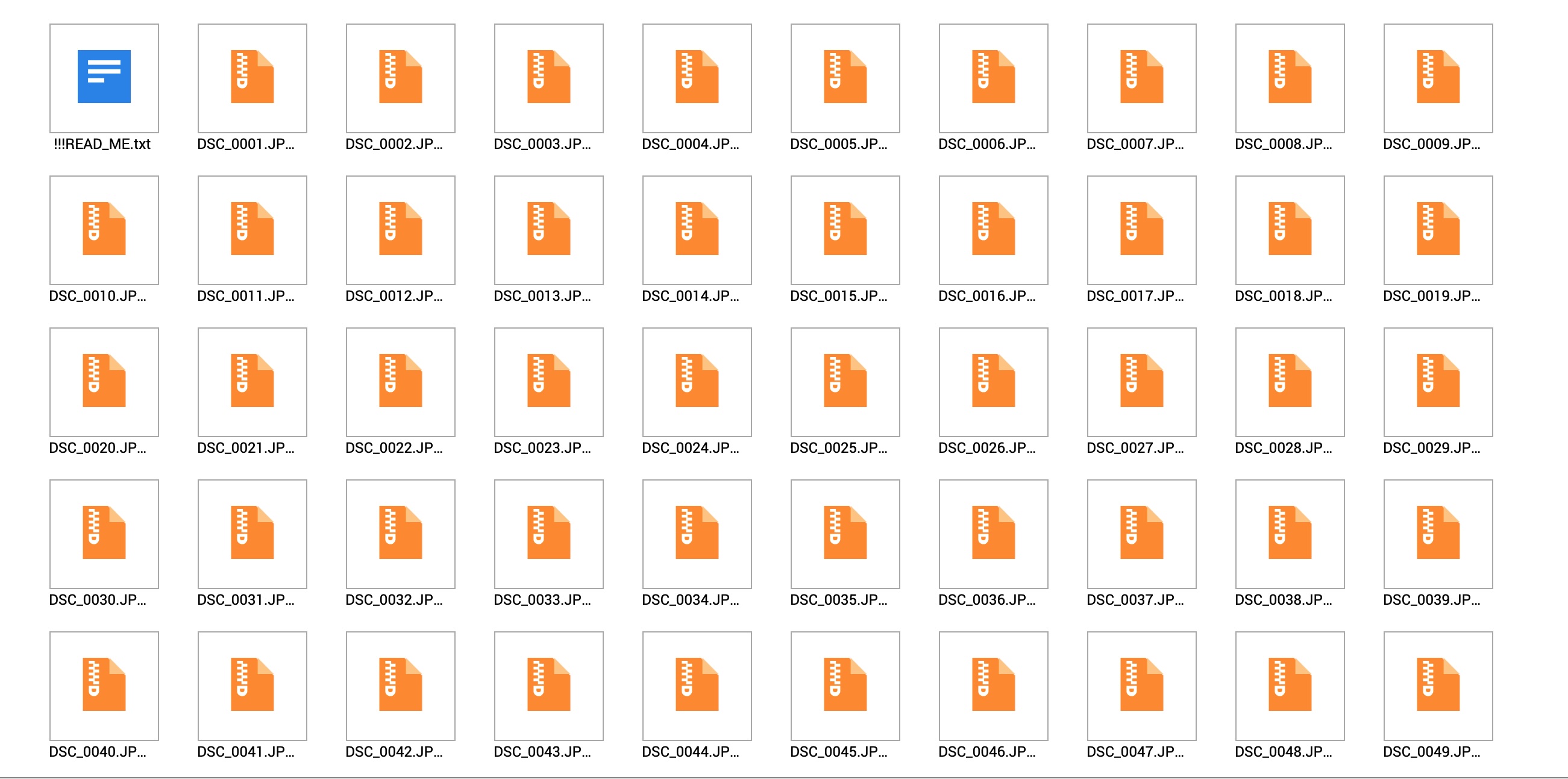 Folder of Qlocker-encrypted DSC_XXXX.JPG.7z files