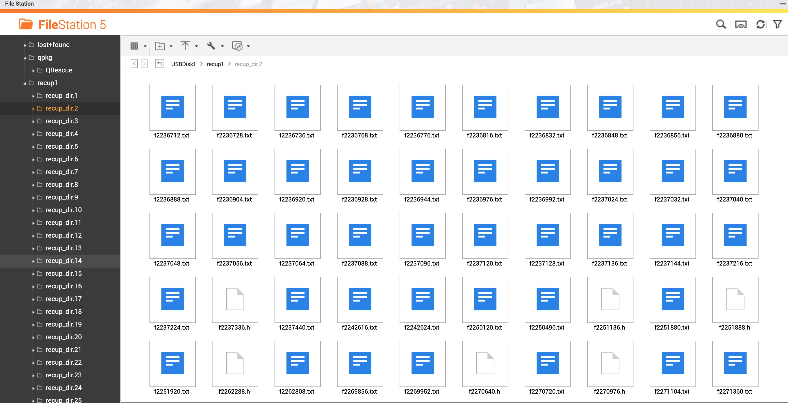 File Station showing recup_dir.2, full of recovered .txt and .h source-fragment files with generic icons